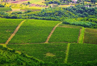 https://pixabay.com/photos/landscape-panorama-vineyard-5543073/