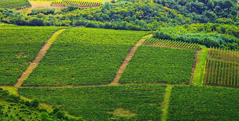 Održana radionica za LAG-ove – Velika Kopanica