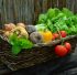 https://pixabay.com/photos/vegetables-basket-vegetable-basket-752153/