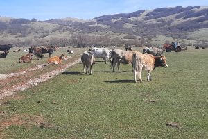 Otvoreno e-Savjetovanje s javnošću o Prijedlogu pravilnika o izmjenama i dopuni Pravilnika o provedbi izravne potpore poljoprivredi i IAKS mjera ruralnog razvoja za 2024. godinu