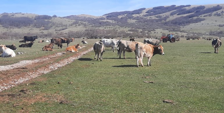 Otvoreno e-Savjetovanje s javnošću o Prijedlogu pravilnika o izmjenama i dopuni Pravilnika o provedbi izravne potpore poljoprivredi i IAKS mjera ruralnog razvoja za 2024. godinu