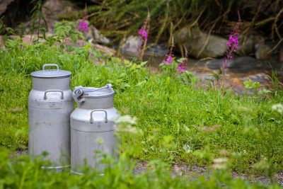 https://pixabay.com/photos/milk-cans-farm-yard-milk-metal-4585830/